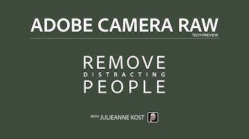 Quickly Remove Distracting People in Adobe Camera Raw (Tech Preview)