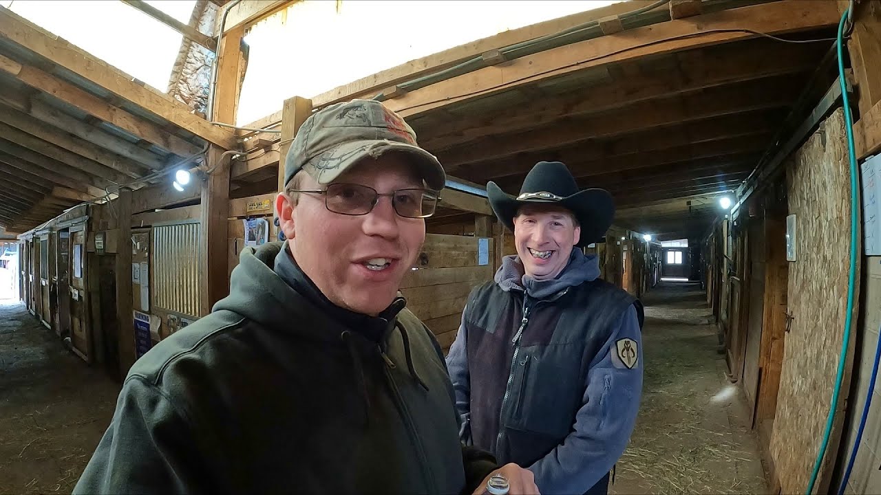 Зерно и сено делают лошадь счастливой