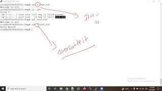 Day 7: Exploring Linux Command Line With Cd And Cat!