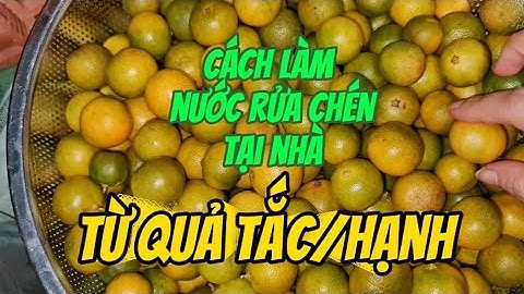 Đây là cách làm nước rửa chén tại nhà từ quả tắc/ quả quất/ quả hạnh dễ nhất mà mình từng làm