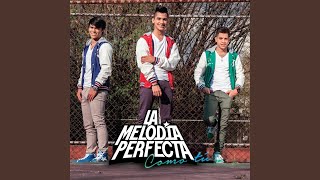 Tu y Yo - La Melodia Perfecta