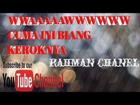 Cara cepat memperbaiki Tv Polytron ultra slim bergaris vertikal 