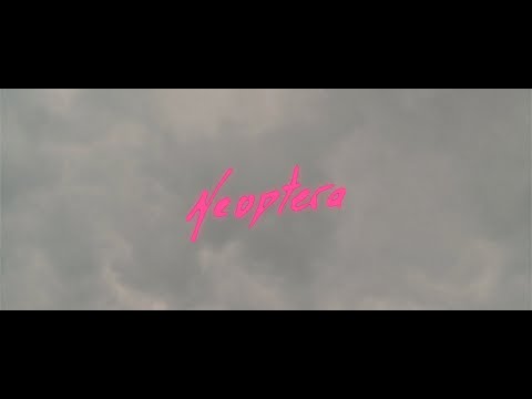 Neoptera - Short Film - 2020