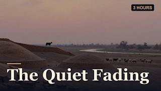 The Quiet Fading of the Indus Valley Civilisation | Gentle History for Sleep screenshot 4
