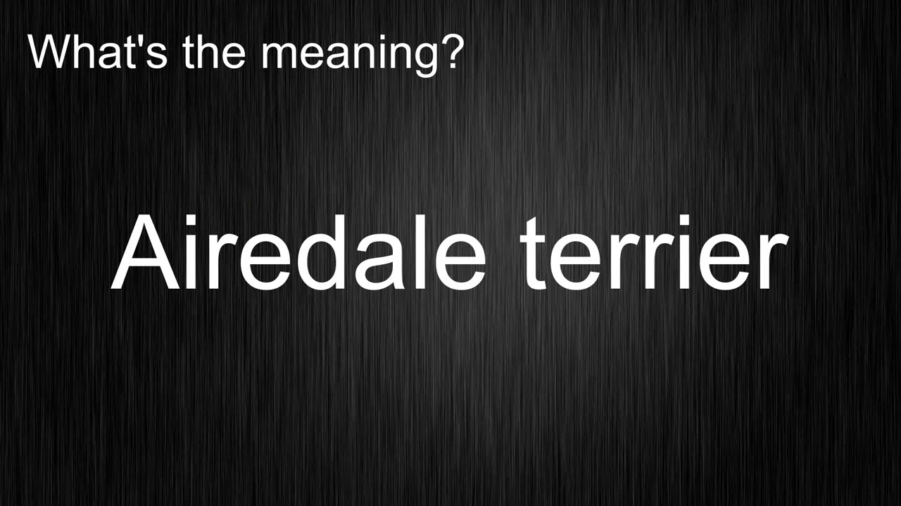 What's the meaning of "airedale terrier", How to pronounce?