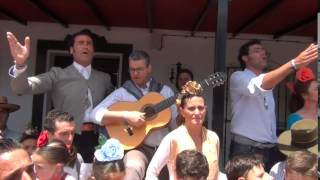 Video thumbnail of "Sevillanas Rocieras: Flor de Romero canta a la Hermandad de Umbrete - El Rocío 2014"