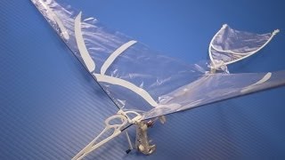 ornithopter rc pteranodon type