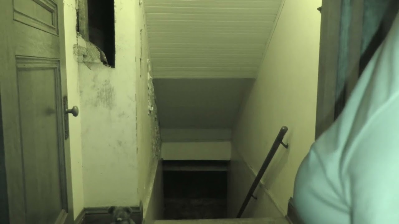 Whistle back Birdsell mansion