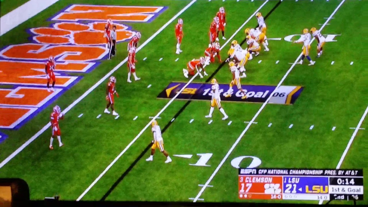 Thaddeus moss does absolutely NOTHING to get the touchdown