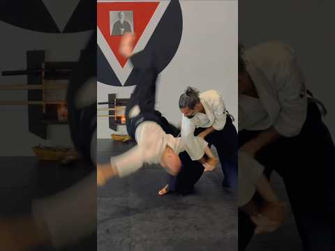 Aikido Martial Fusion