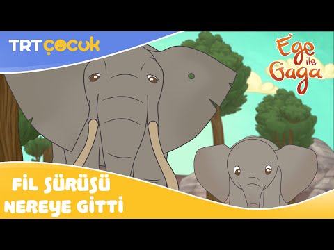 EGE İLA GAGA | FİL SÜRÜSÜ NEREYE GİTTİ | TRT ÇOCUK