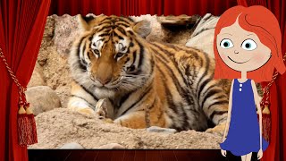 Tiergeräusche   Tierlaute für Kinder, Errate das Tier anhand von Silhouette und Klang! screenshot 5