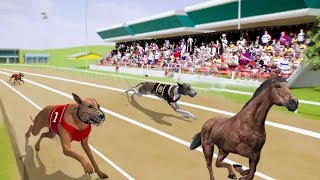 DOG CRAZY RACING SIMULATOR || CUTE DOG RACE || ANDROID GAMEPLAY screenshot 4