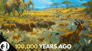 Download Lagu What Life Was Like 100,000 Years Ago — Six Kinds of Humans and Their Lives | Boring Sapiens MP3 Download Lagu What Life Was Like 100,000 Years Ago — Six Kinds of Humans and Their Lives | Boring Sapiens MP3