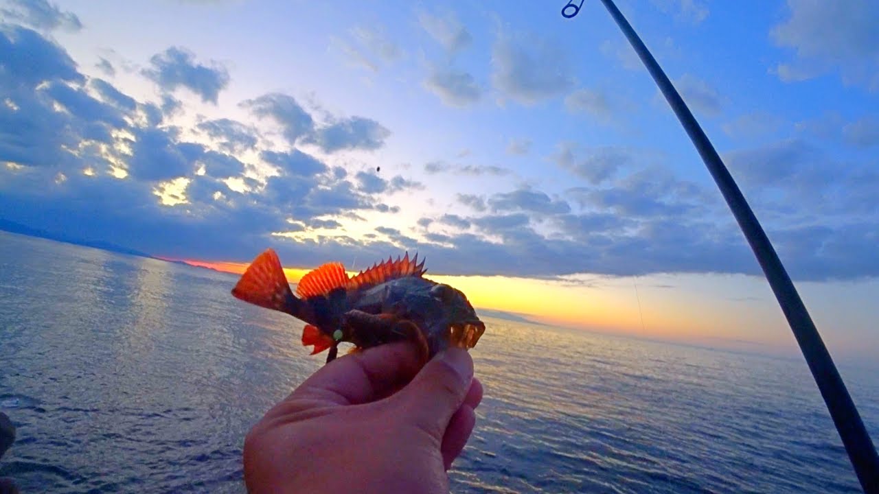 釣りvlog ロックフィッシュ 根魚釣り楽しすぎ 初pe0 3号でフリーリグ ライトゲームしてきました Youtube 釣りvlog ロックフィッシュ 根魚釣り楽しすぎ 初pe0 3号でフリーリグ ライトゲームしてきました Youtube