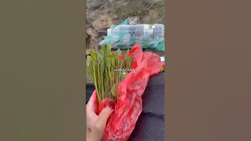 بغيابك انا تعذبت 