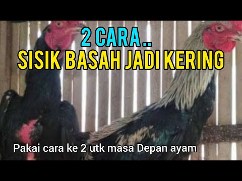 Cara Membuat Sisik Kaki Ayam Kering
