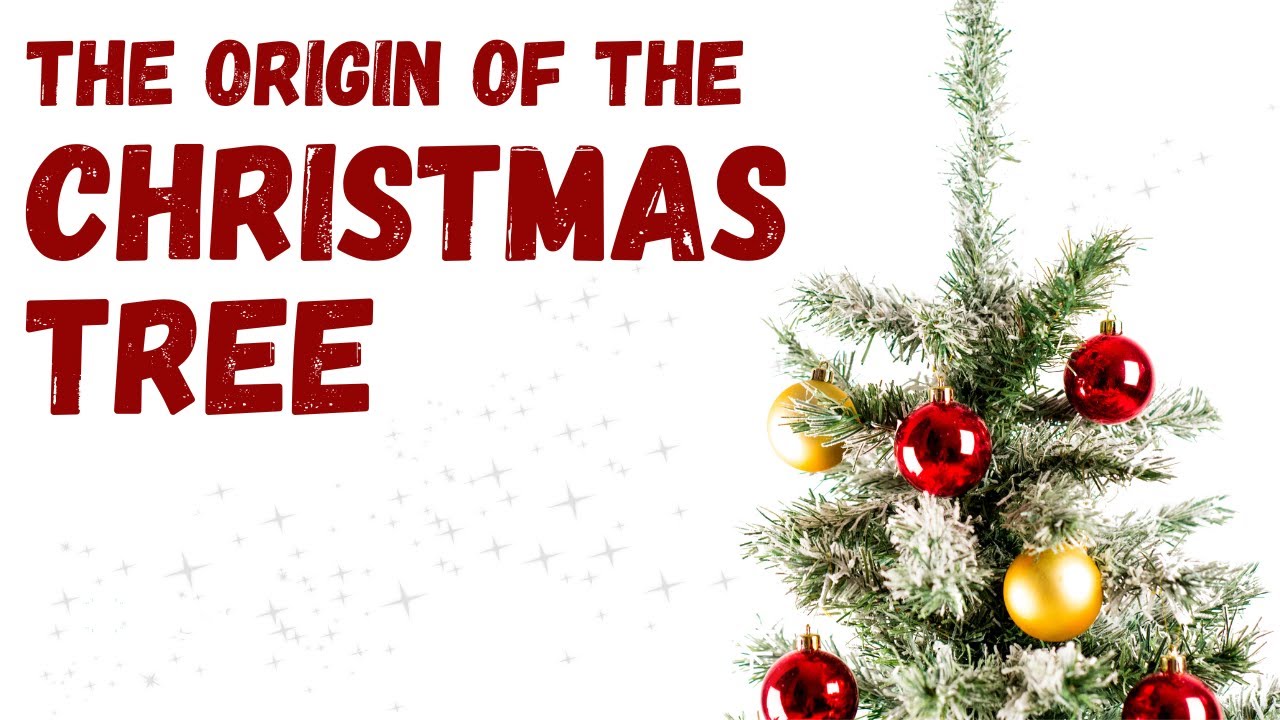 Урок о происхождении рождественской елки для детей 🎄