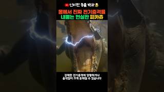 진짜 전기를 내뿜는 현실판 피카츄