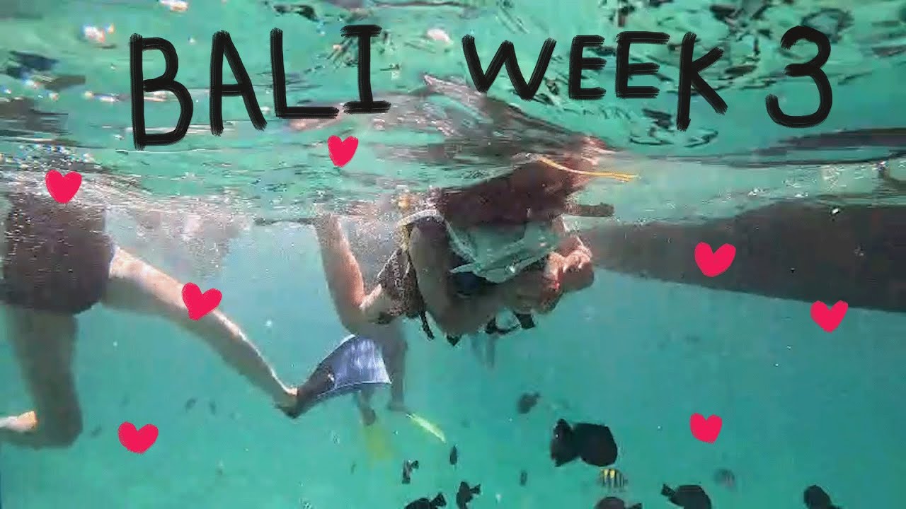 발리 3주차‧⁺ ˚.⋆호텔 데이패스 정보 🏩 사누르해변에서 10분 배타고 스노클링🤿🫧