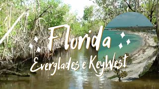 Viaggio in Florida: Everglades e Isole Keys - 3° Parte