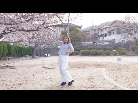 【ここあ】ハルイチ。【踊ってみた】
