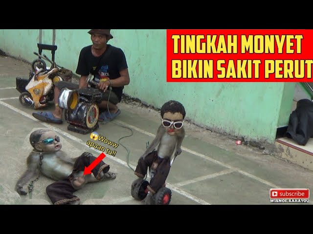 video lucu topeng monyet‼️bikin smua penonton sakit perut class=