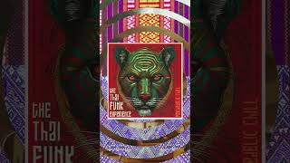 Download Lagu The Thai Funk Experience from Inside Cuts MP3
