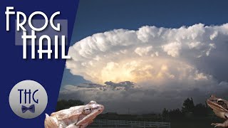 1882 Dubuque Frog Hail Profile
