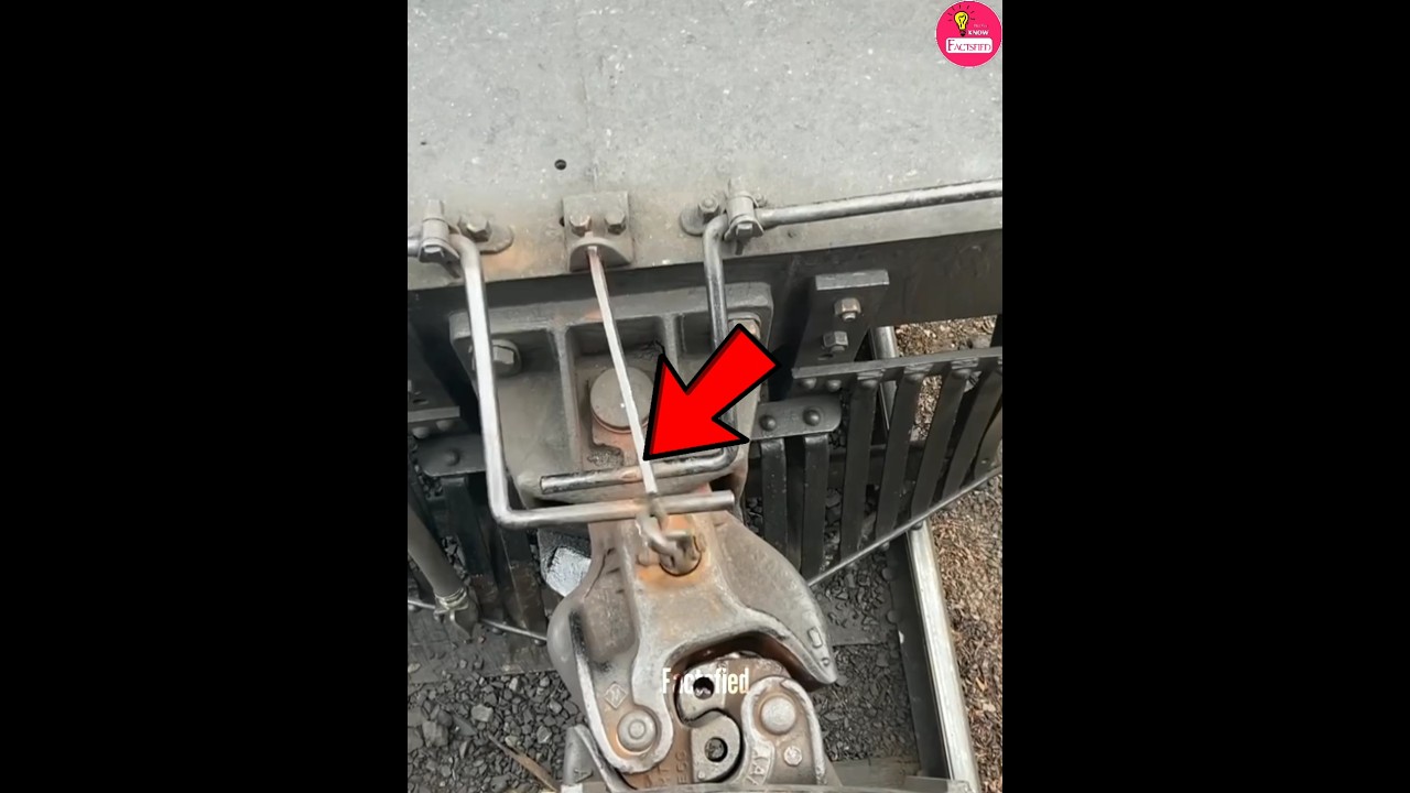 Train Coupling 👀 | Factsfied 