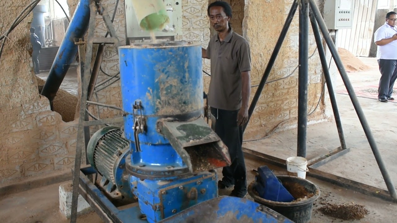 Proses pembuatan wood pellet - YouTube