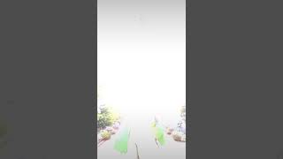 Download Lagu At My Worst 🤍🤍 MP3