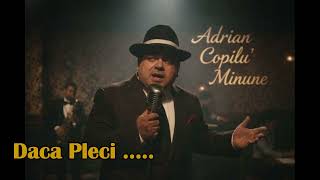 Adrian Copilu' Minune - Daca Pleci,Eu Cui Raman(New Version)