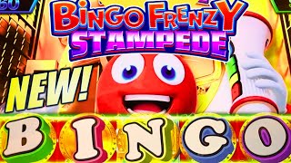 ★NEW SLOT!★ I HAD TO TRY IT AGAIN!! 🤑  BINGO FRENZY STAMPEDE TIGER & SHARK Slot Machine (KONAMI)