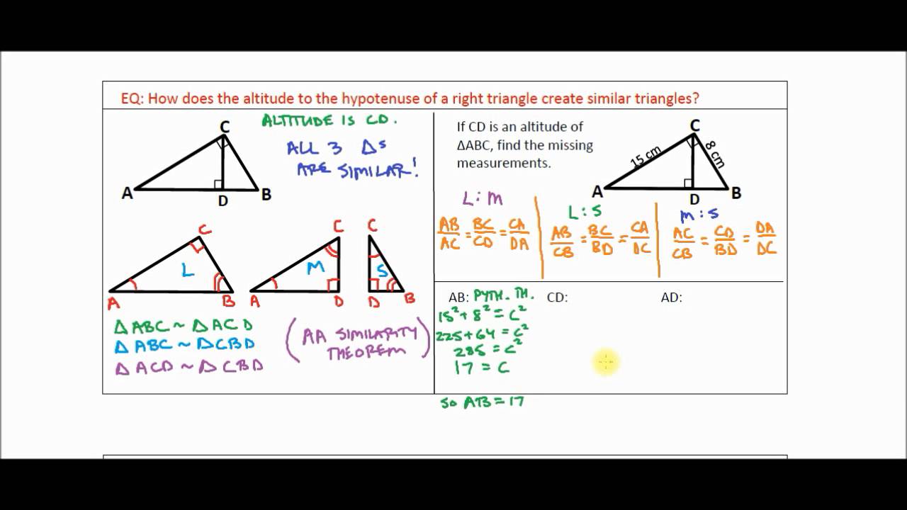Right Triangle Similarity Brainly Worksheets