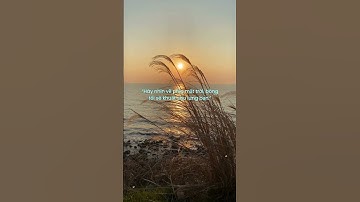 5 câu nói chữa lành mỗi ngày – Gieo hy vọng, nhận nụ cười  #healing #dearmysoul #hyvọng #shorts