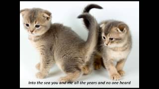 The Cure - The Lovecats with lyrics