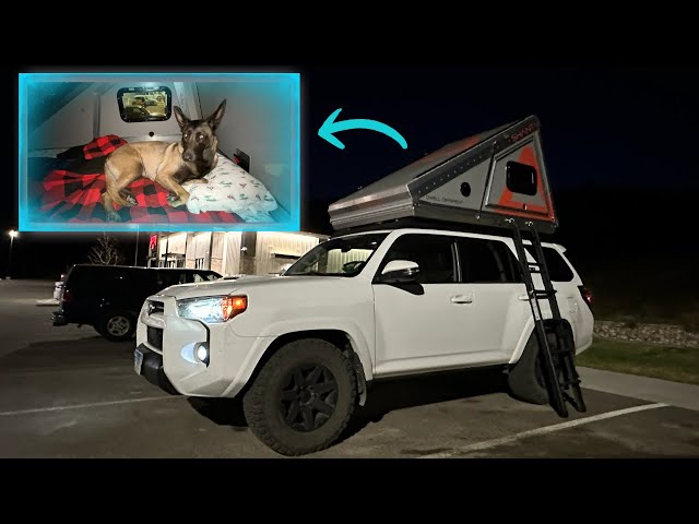 Long day of travel with a 10/10 camp spot in Durango (in town) | 4RUNNER CAMPING WITH A MALINOIS class=