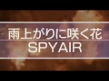 『雨上がりに咲く花(2015@DYNAMITE』SPYAIR - UME