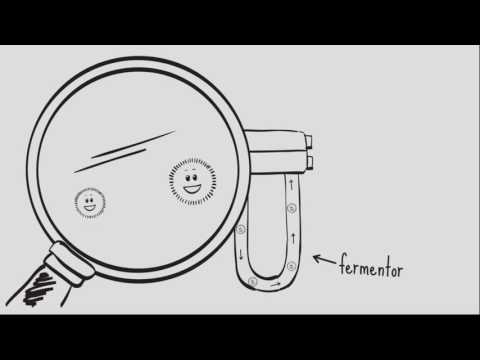 Meet MET Unibio - video from Unibio
