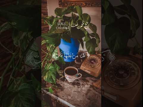 كل من عليها فان الشيخ محمد رفعت قران تصميمي