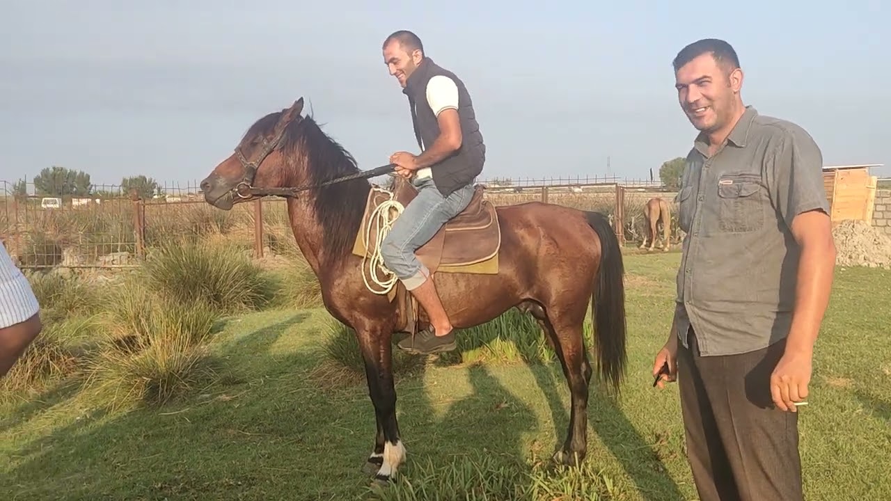 berde at bazarl 28.07.2023.050.571.71.57