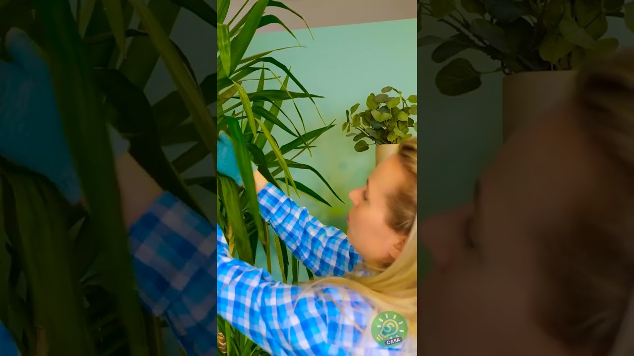 Recrea estas nuevas técnicas de cultivo de plantas