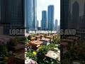 The Secret Rooftop Apiaries of São Paulo