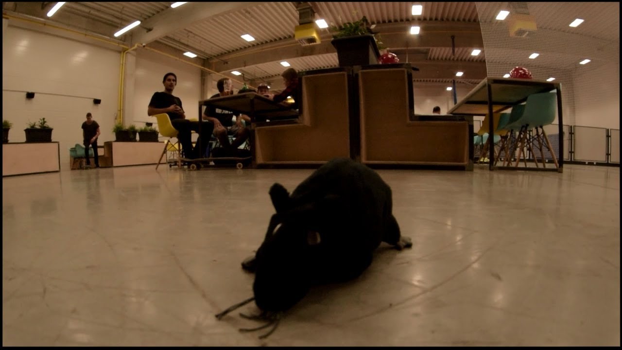 El Patkáňe Edit - HangAir video to gif