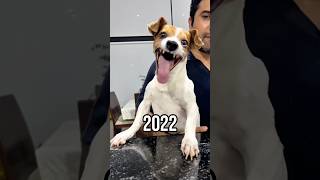 Legendary dog memes (Then vs now) 🥹