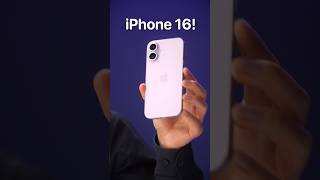 iPhone 16 - HANDS-ON with Case Models!