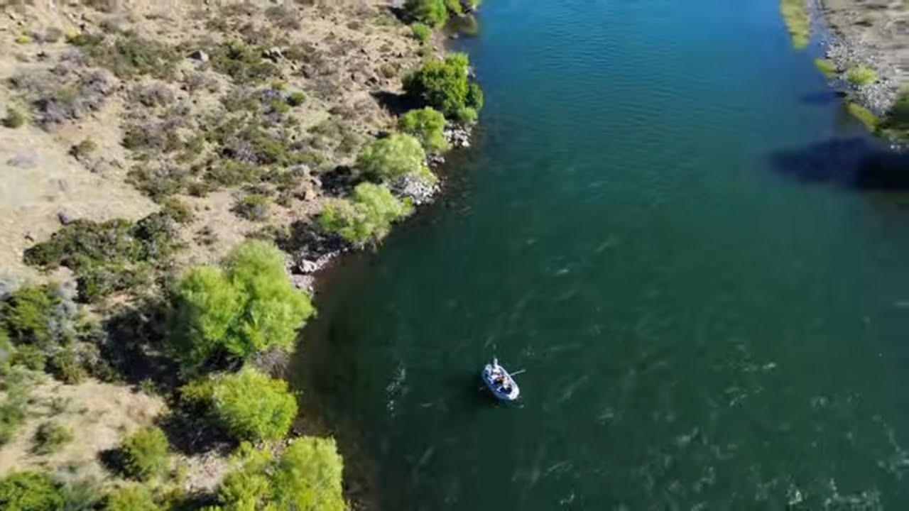Pesca con Mosca Río Aluminé Día 2 Flotando y Acampando Aguas Arriba Neuquen Patagonia Argentina