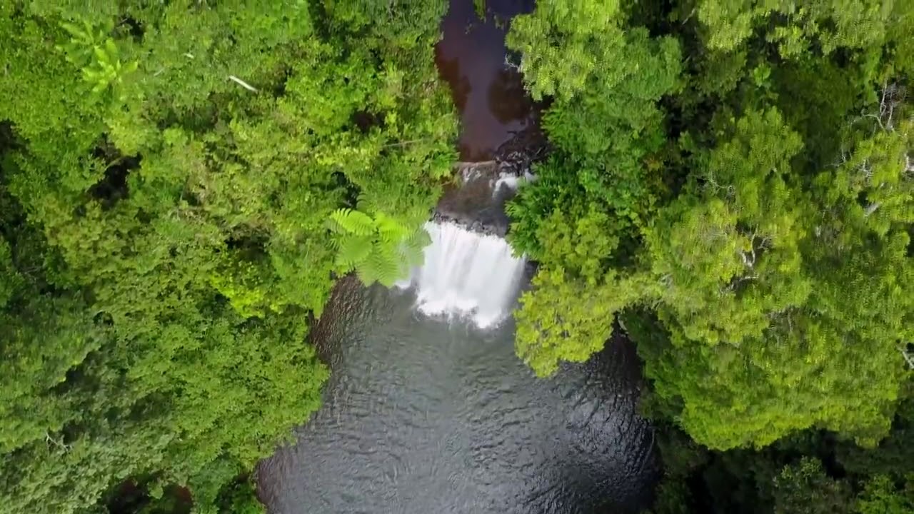 Relaxing sleep music • Relaxation • 3h • ''Forest Dream'' by Mrm Team