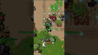 TIBIA - HUNT NO BOOK WORLD É BOM DEMAIS PRA PALADIN